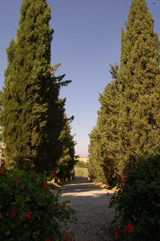 Agriturismo San Francesco Amalia And Anna Orciatico Ngoại thất bức ảnh