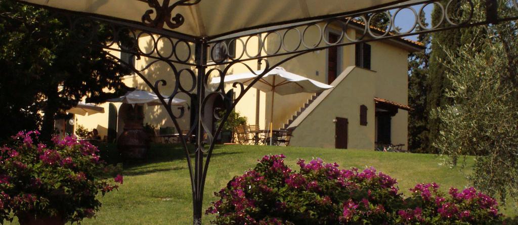 Agriturismo San Francesco Amalia And Anna Orciatico Ngoại thất bức ảnh